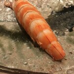 たかおか - 富津　車海老