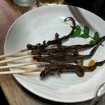 朝起 - サンショウウオ焼き4本1000円