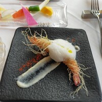 サーラ アマービレ - 