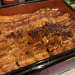 Unagi Musashino - 