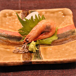 せん心 - お造り ハタと南蛮海老