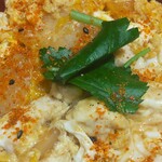 九州鳥若丸 - 特選親子丼