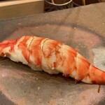 鮨桂太 - クルマエビ