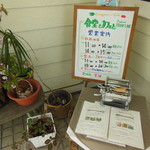 ペニーレーン - 