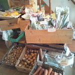 ナチュラリア - 各地から取り寄せた有機野菜