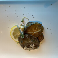 TEPPANYAKI 10 SHIBUYA - 