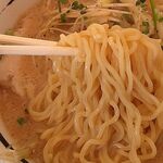 元祖南部小麦らーめん あじきゅう - 麺