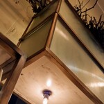 sio - 上を見上げてみたらドライな植物が配置されてました。