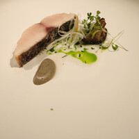 ジョンティ アッシュ - 