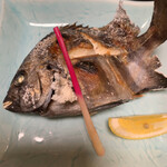 鮨よし - しまだいの塩焼き