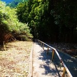 浜の暮らしのはまぐり堂 - この階段を下りていきます