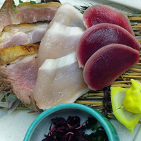 博多水炊きと焼き鳥 鳥善 銀座店 - 