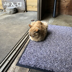 やまびこ - 玄関でおねんね（笑）名物キャラ？可愛い猫ちゃんです。