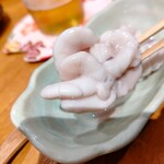 桜あん - 【2022.12.3(土)】白子