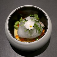 CIRPAS - 