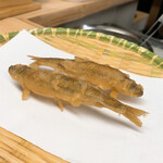 天ぷら はせ川 - わかさぎ