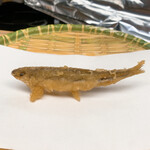 天ぷら はせ川 - ヒレで立っています