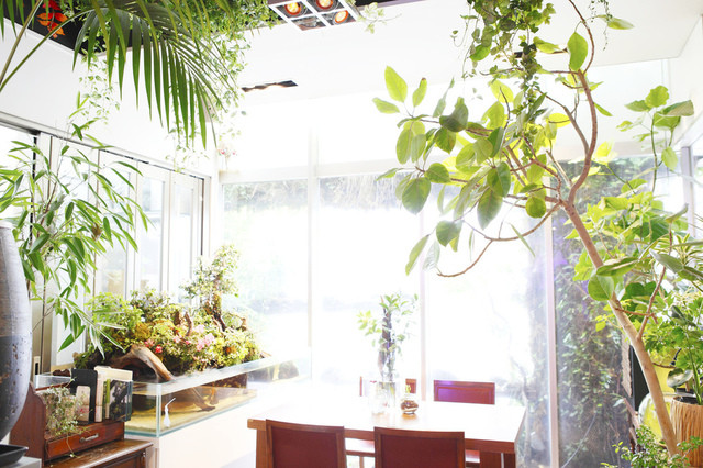 The Photo Of Interior Furawa Andokafekazahana Tabelog