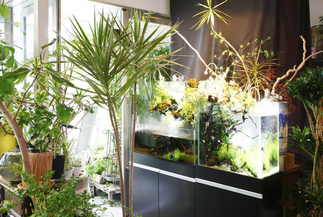 The Photo Of Interior Furawa Andokafekazahana Tabelog