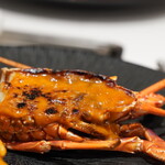 カンパーニュ - 