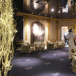 トゥールダルジャン - リンクスのケープが美し〜い後ろ姿・・♡