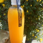 道の駅 今治湯ノ浦温泉 - デコタンゴールジュース