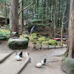 山菜料理 みたき園 - 