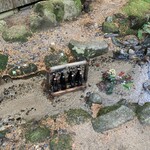 山菜料理 みたき園 - 