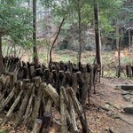 山菜料理 みたき園 - 