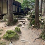 山菜料理 みたき園 - 