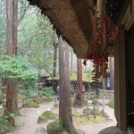 山菜料理 みたき園 - 