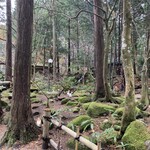 山菜料理 みたき園 - 