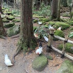 山菜料理 みたき園 - 