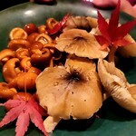 SECRETO - ここで使われた茸