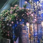 コーラル - バラの花が迎えてくれます