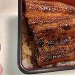 炭焼うなぎ 加茂 - 