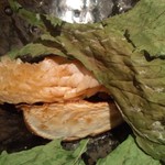 神保町 傳 - 2013.05