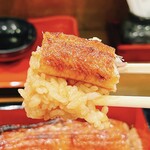 うなぎの豊川 - うな重、リフト！