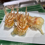 天冨良 麻布よこ田 - 