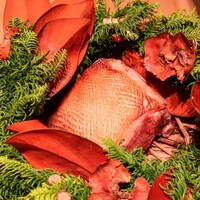NeMo - 