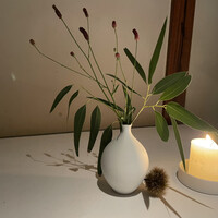 レスピラシオン - 