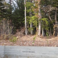 TSUSHIMI - 