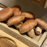 日本橋 蕎ノ字 - 