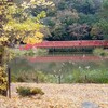 Kohikan - 称名寺庭園