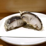 天冨良 いわ井 - 