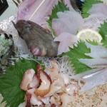 まるいち食堂 - 