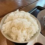 Ooyama Chikusan Pork & Noodle - 普通盛りは小さい茶碗に山盛り