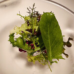 レストラン オオツ - 