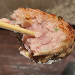 YAKITORI 燃 es - 断面