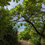 Ikemajima gelato cafe Ninufa - 